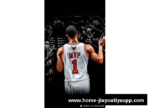 NBA霍伊斯：探索其职业生涯与个人生活